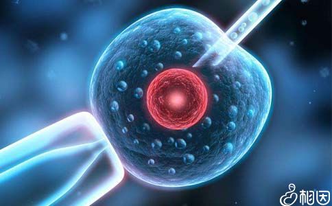 42岁高龄成功案例